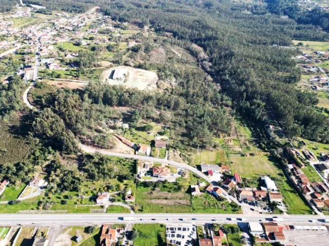 Armazém para Venda em Pelariga Foto 46