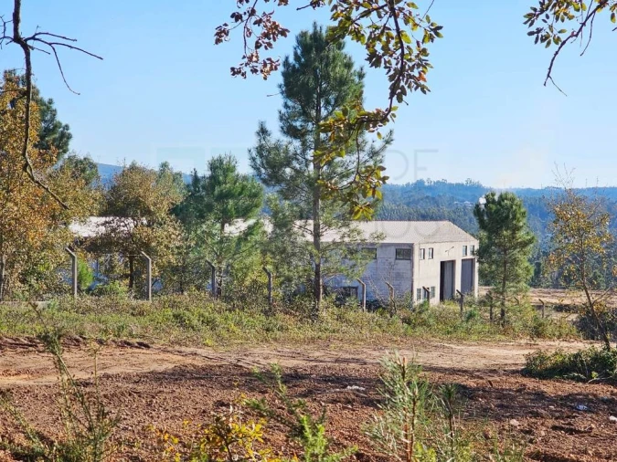 Armazém para Venda em Pelariga Foto 57