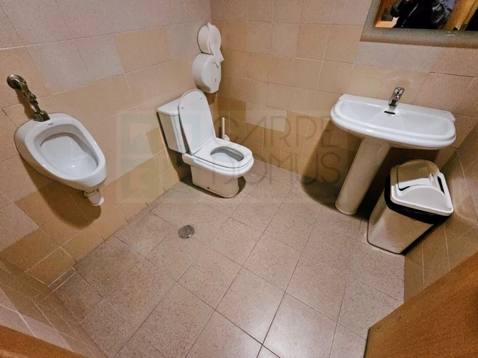 Escritório para Venda em Santa Maria e São Miguel, São Martinho, São Pedro Penaferrim Foto 25