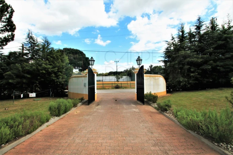 Moradia T4 para Venda em Santo Estêvão Foto 65