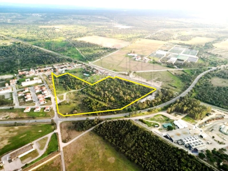 Terreno para Venda em Pegões Foto 3