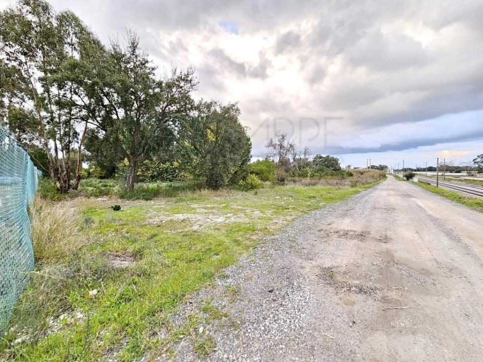 Terreno para Venda em Pegões Foto 11