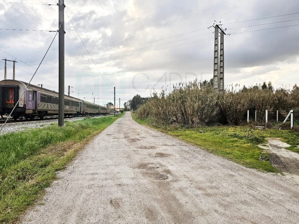 Terreno para Venda em Pegões Foto 20