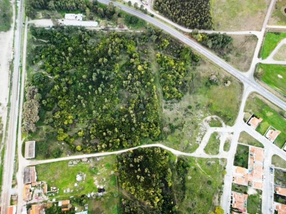 Terreno para Venda em Pegões Foto 30