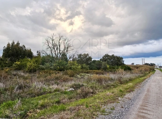 Terreno para Venda em Pegões Foto 17