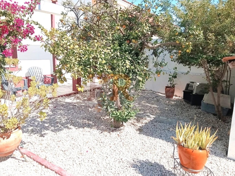 Moradia T6 para Venda em Azeitão (São Lourenço e São Simão) Foto 39