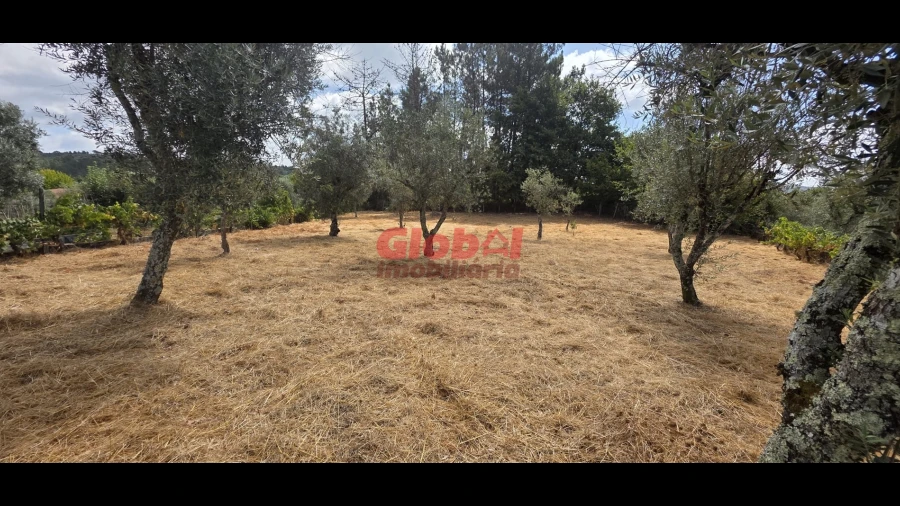 Terreno para Venda em Santos Evos