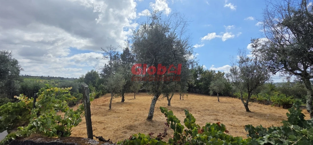 Terreno para Venda em Santos Evos