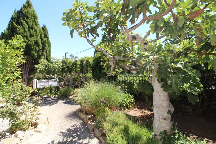 Moradia T5 para Venda em Lagos (São Sebastião e Santa Maria) Foto 12