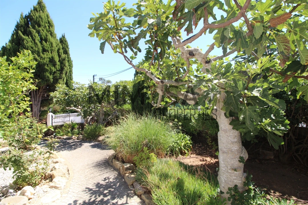 Moradia T5 para Venda em Lagos (São Sebastião e Santa Maria) Foto 12