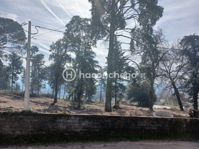 Moradia T3 para Venda em Campo e Tamel (São Pedro Fins) Foto 37