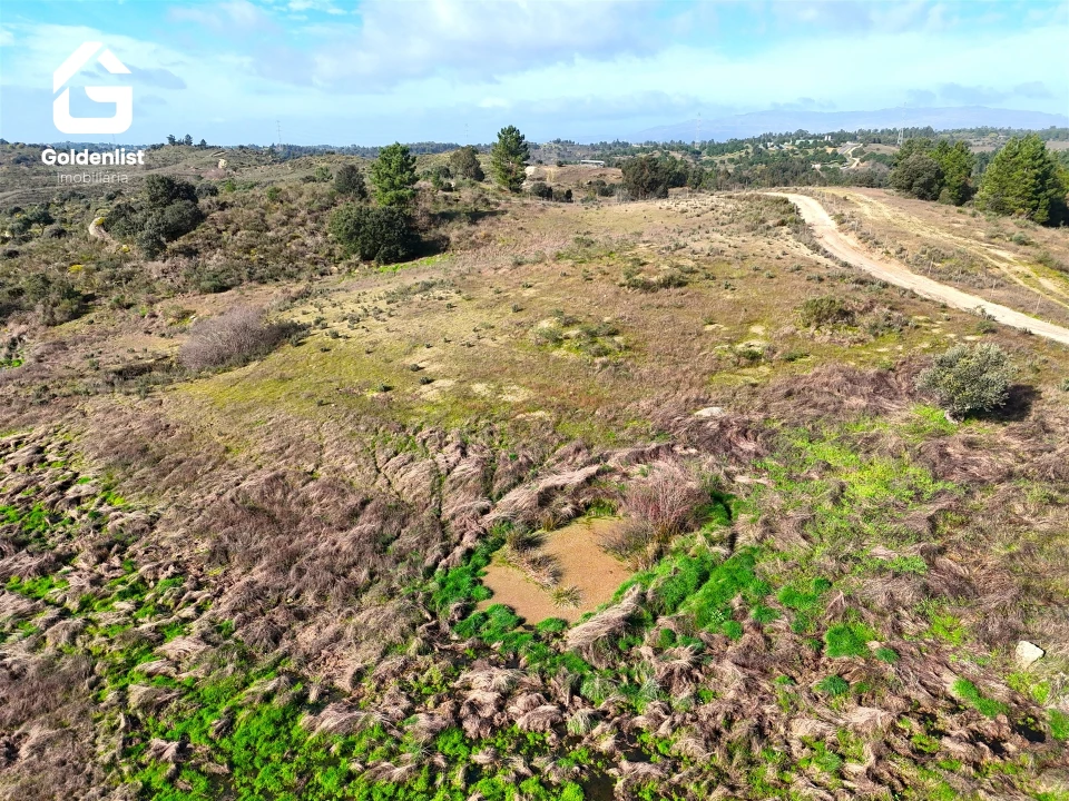 Terreno para Venda em São Miguel de Acha Foto 12
