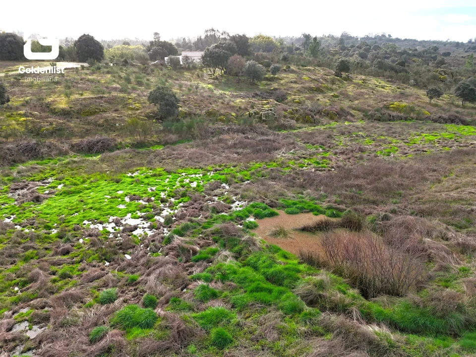 Terreno para Venda em São Miguel de Acha Foto 15