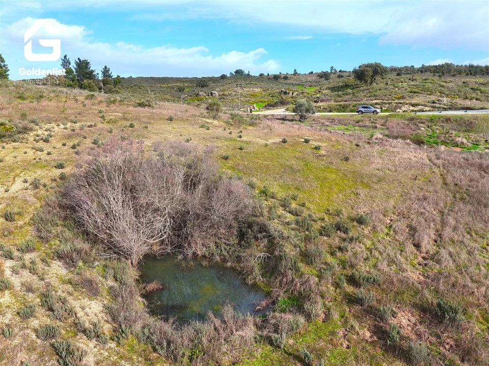 Terreno para Venda em São Miguel de Acha Foto 13