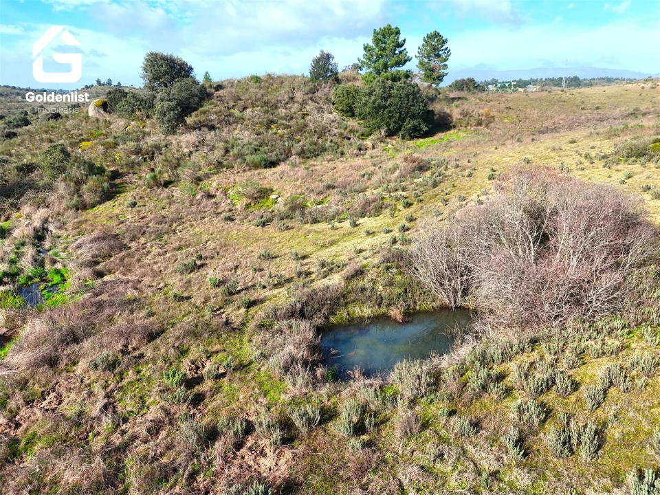 Terreno para Venda em São Miguel de Acha Foto 11