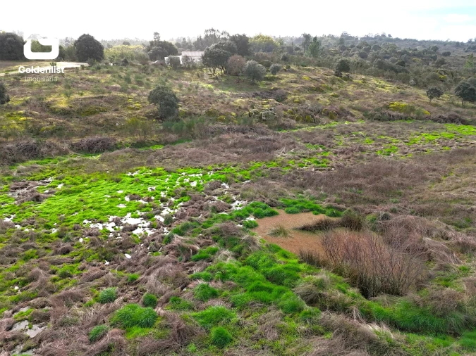 Terreno para Venda em São Miguel de Acha Foto 15