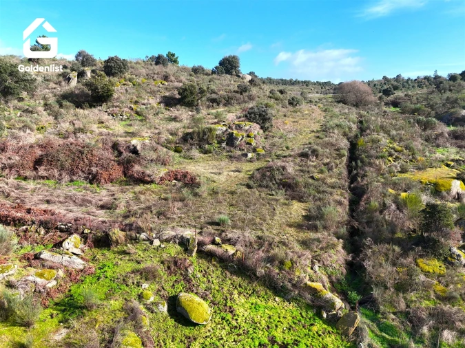 Terreno para Venda em São Miguel de Acha Foto 14