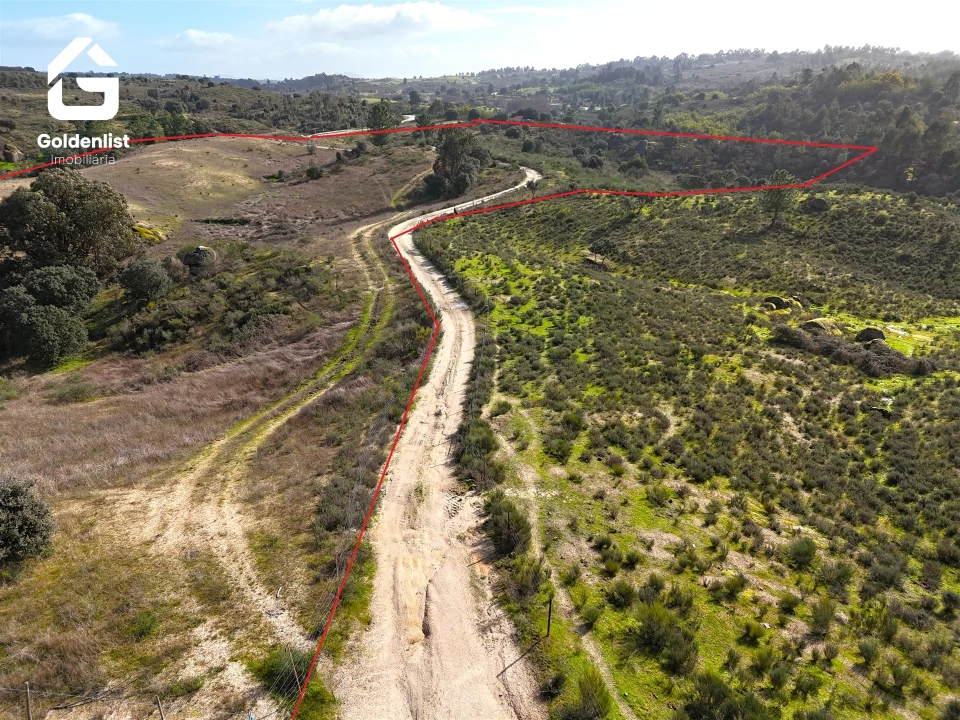 Terreno para Venda em São Miguel de Acha Foto 17