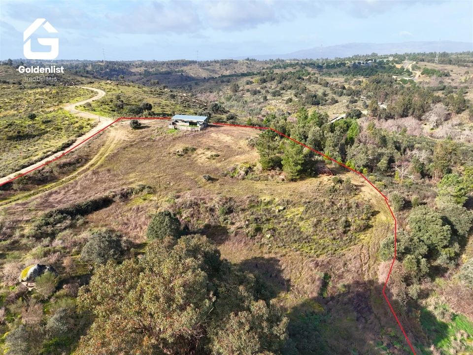 Terreno para Venda em São Miguel de Acha Foto 10