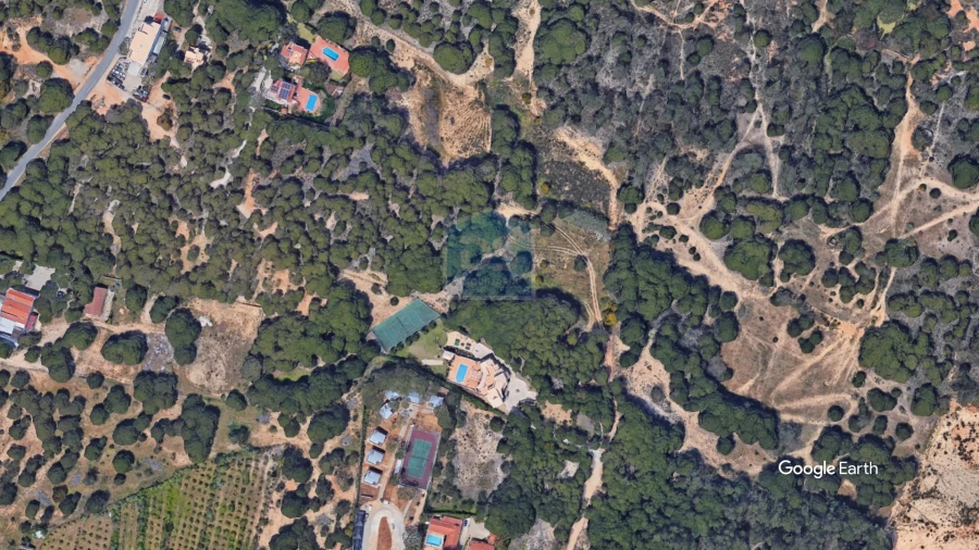 Terreno Agricola ou Rústico para Venda em Almancil Foto 5