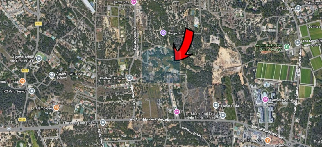 Terreno Agricola ou Rústico para Venda em Almancil Foto 3