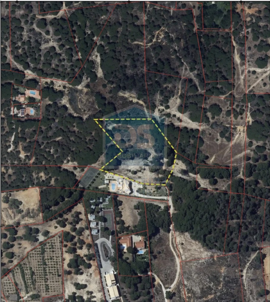 Terreno Agricola ou Rústico para Venda em Almancil Foto 9