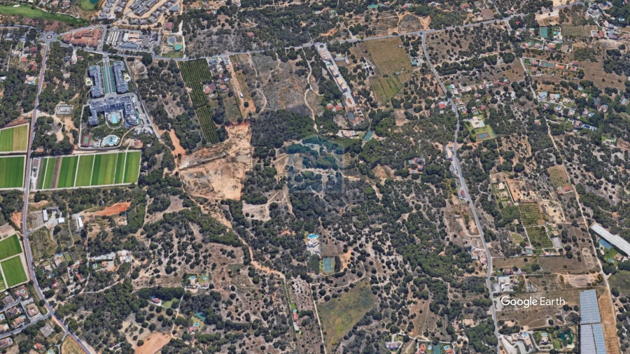 Terreno Agricola ou Rústico para Venda em Almancil Foto 7