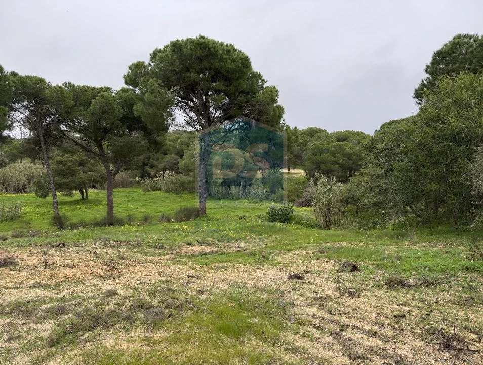 Terreno Agricola ou Rústico para Venda em Almancil Foto 2