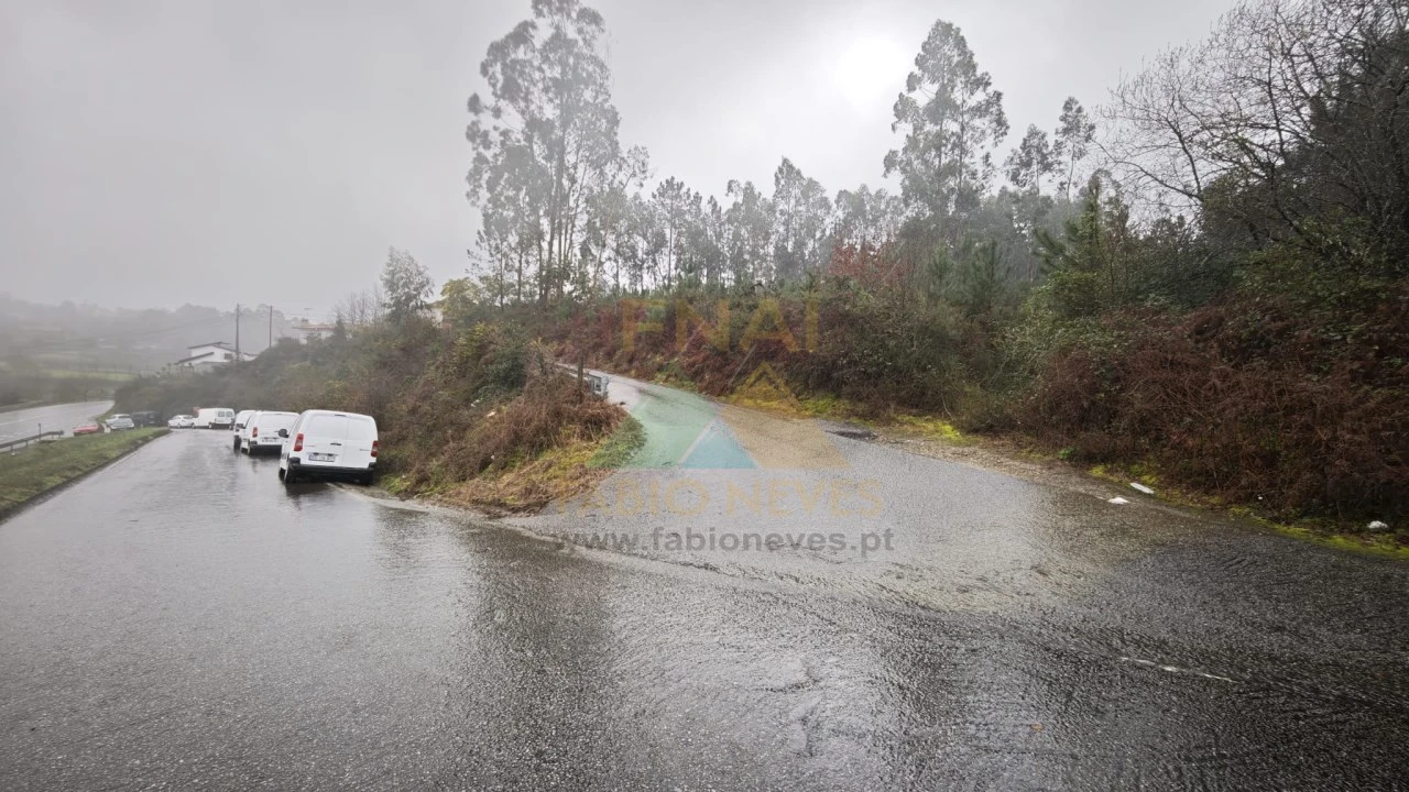 Terreno Comércio / Armazém para Venda em Anais Foto 6