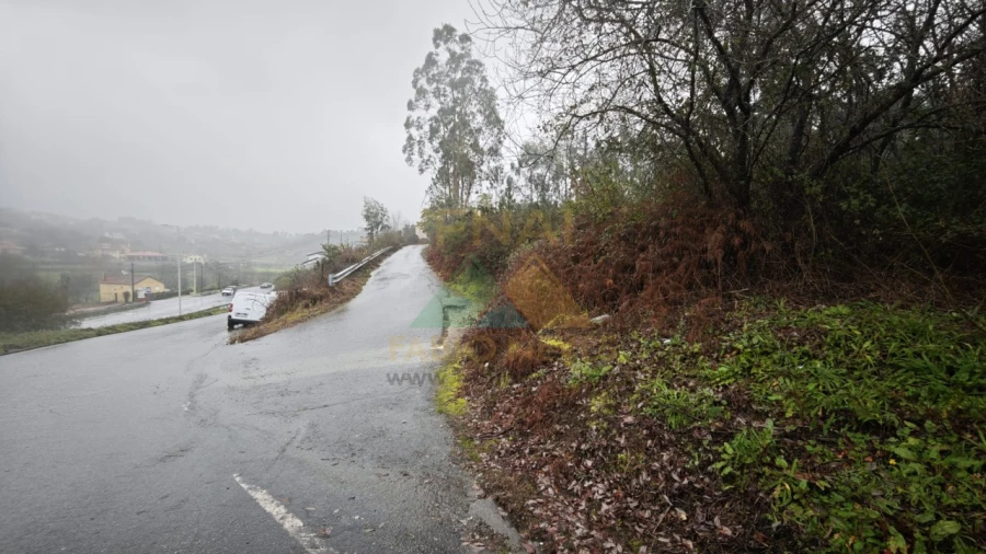 Terreno Comércio / Armazém para Venda em Anais Foto 4