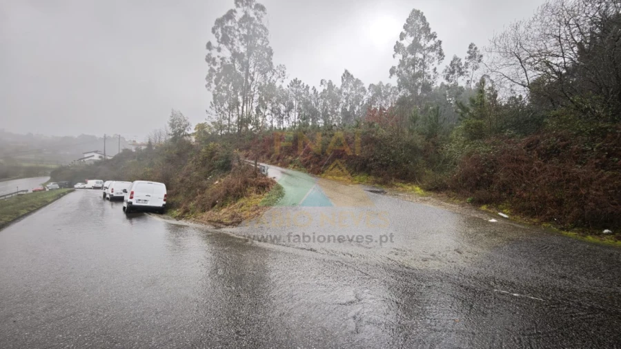 Terreno Comércio / Armazém para Venda em Anais Foto 6