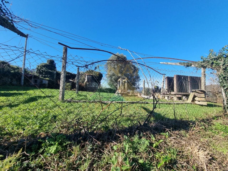 Quinta T3 para Venda em Ribeira Foto 5