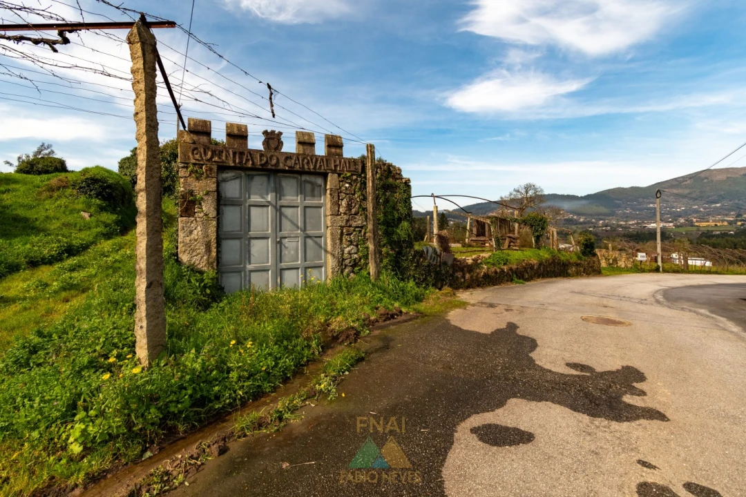 Quinta T3 para Venda em Ribeira Foto 2