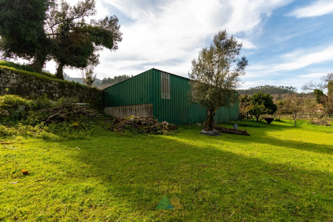 Quinta T3 para Venda em Ribeira Foto 6