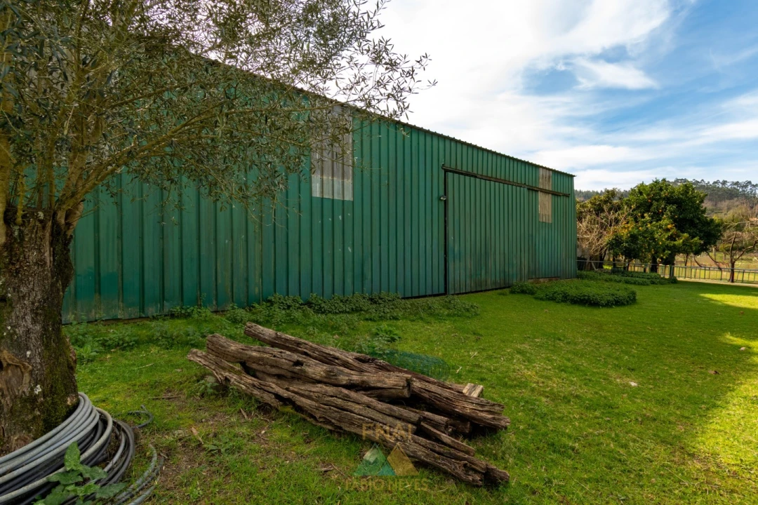 Quinta T3 para Venda em Ribeira Foto 11