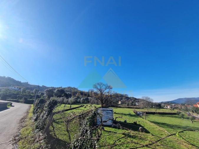 Quinta T3 para Venda em Ribeira Foto 1