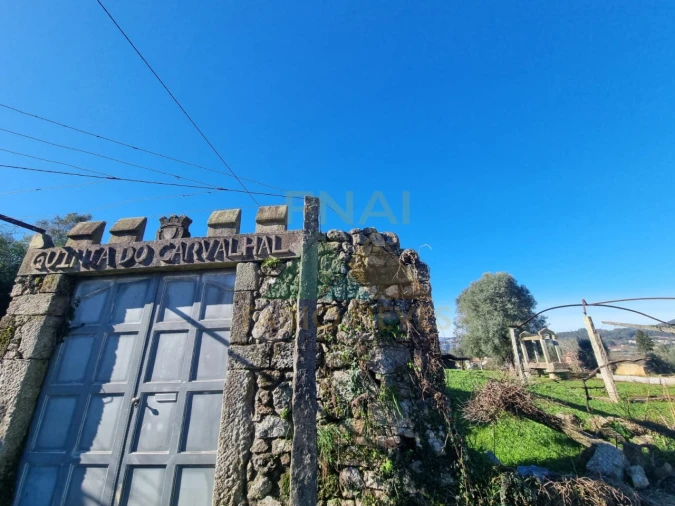 Quinta T3 para Venda em Ribeira Foto 3