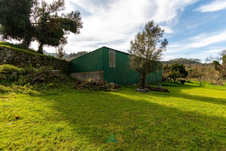 Quinta T3 para Venda em Ribeira Foto 6