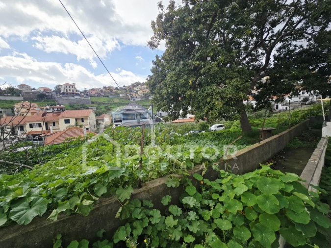 Moradia T3 para Venda em Santo Antonio Foto 3