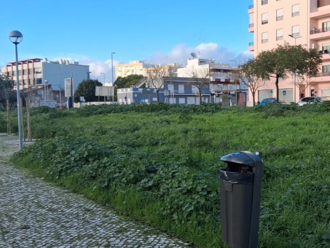 Terreno para Venda em Loule (São Clemente) Foto 3