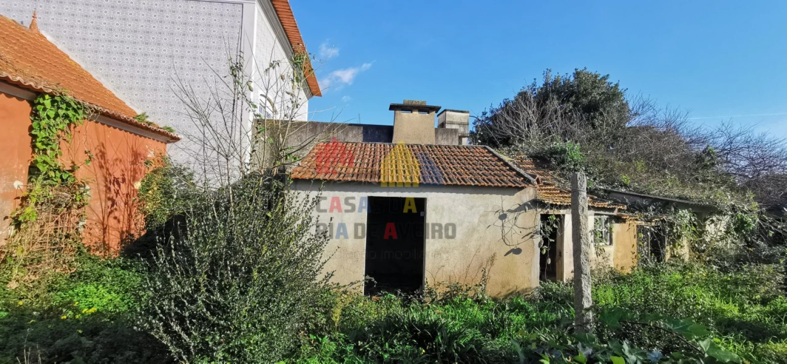 Loja para Venda em Murtosa Foto 12