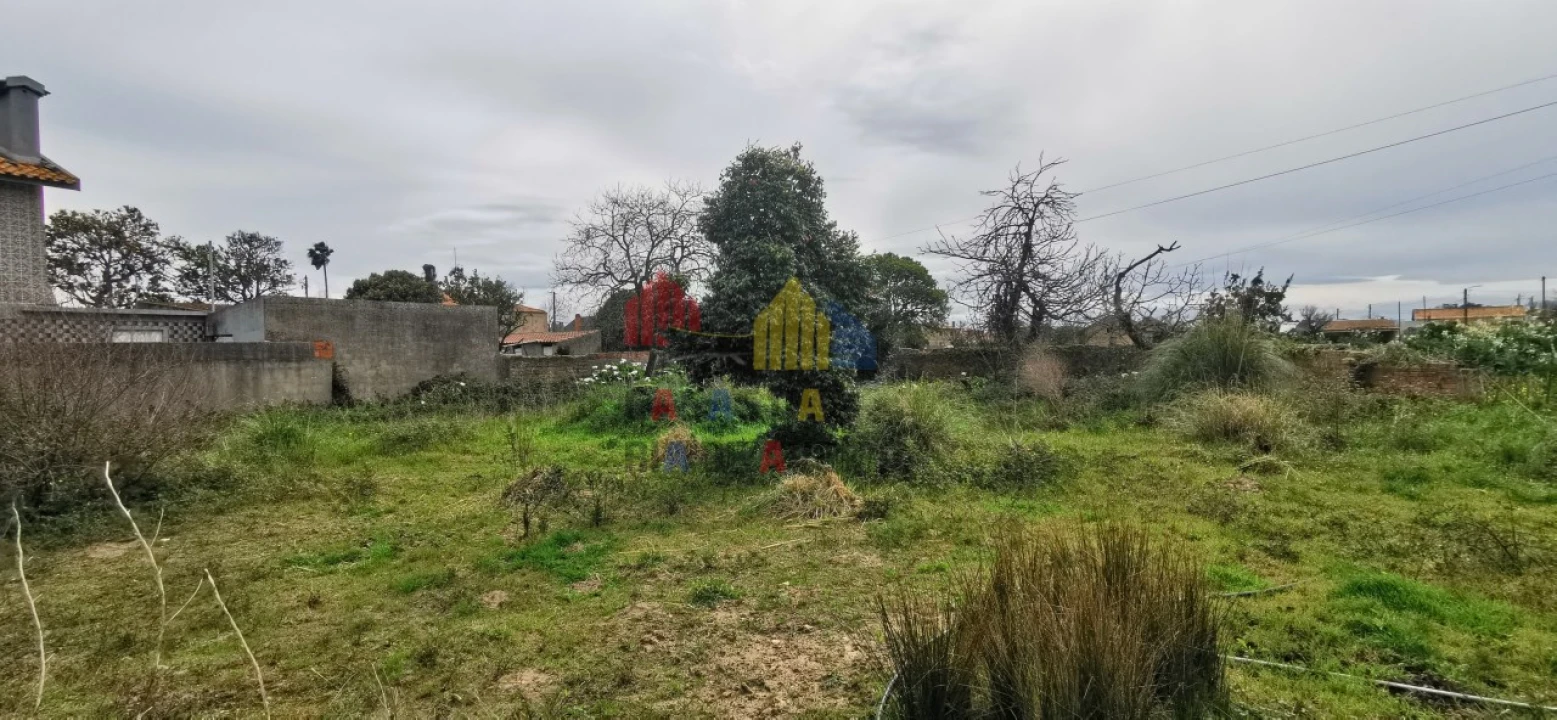 Terreno para Venda em Beduído e Veiros Foto 4
