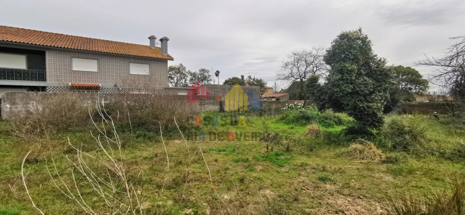 Terreno para Venda em Beduído e Veiros Foto 6
