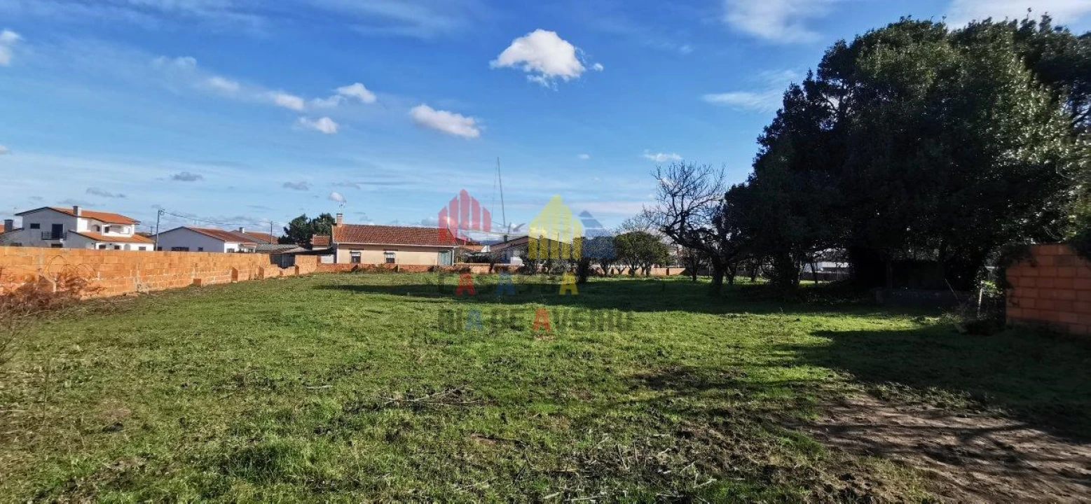 Terreno para Venda em Beduído e Veiros Foto 8