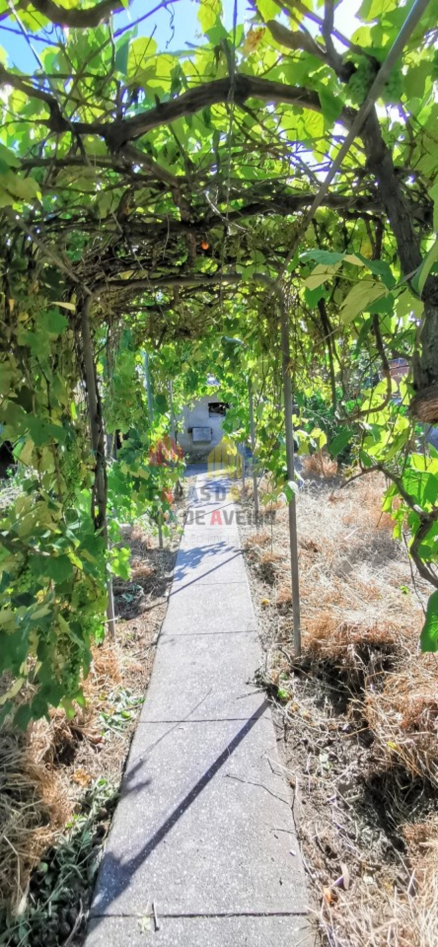 Moradia T4 para Venda em Monte Foto 21