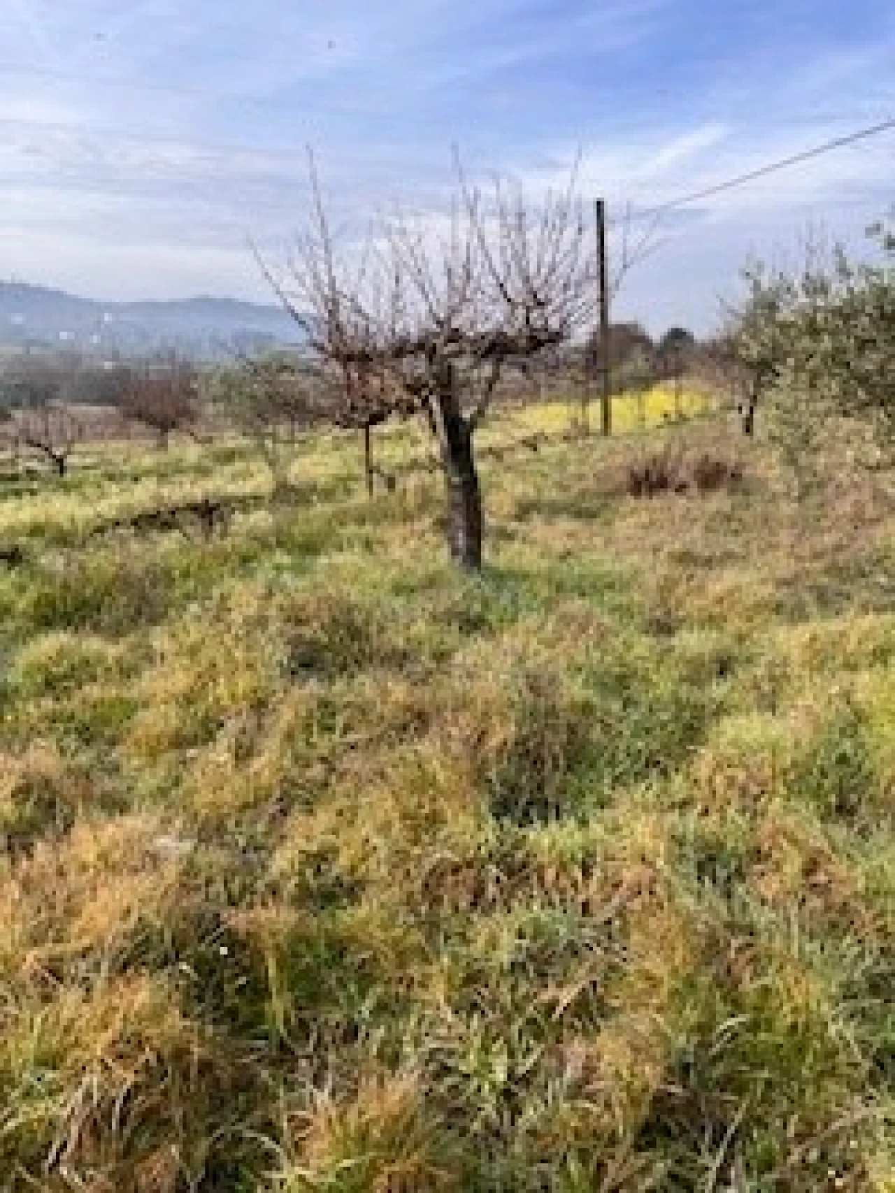 Terreno Agricola ou Rústico para Venda em Ferro Foto 6