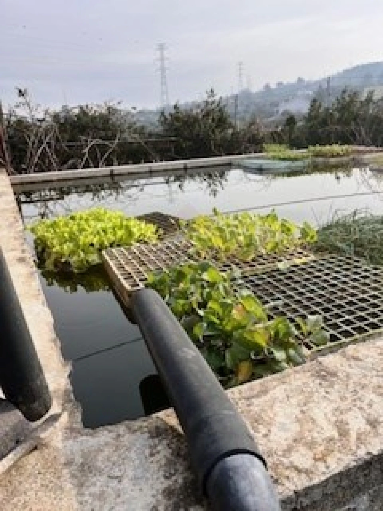 Terreno Agricola ou Rústico para Venda em Ferro Foto 7