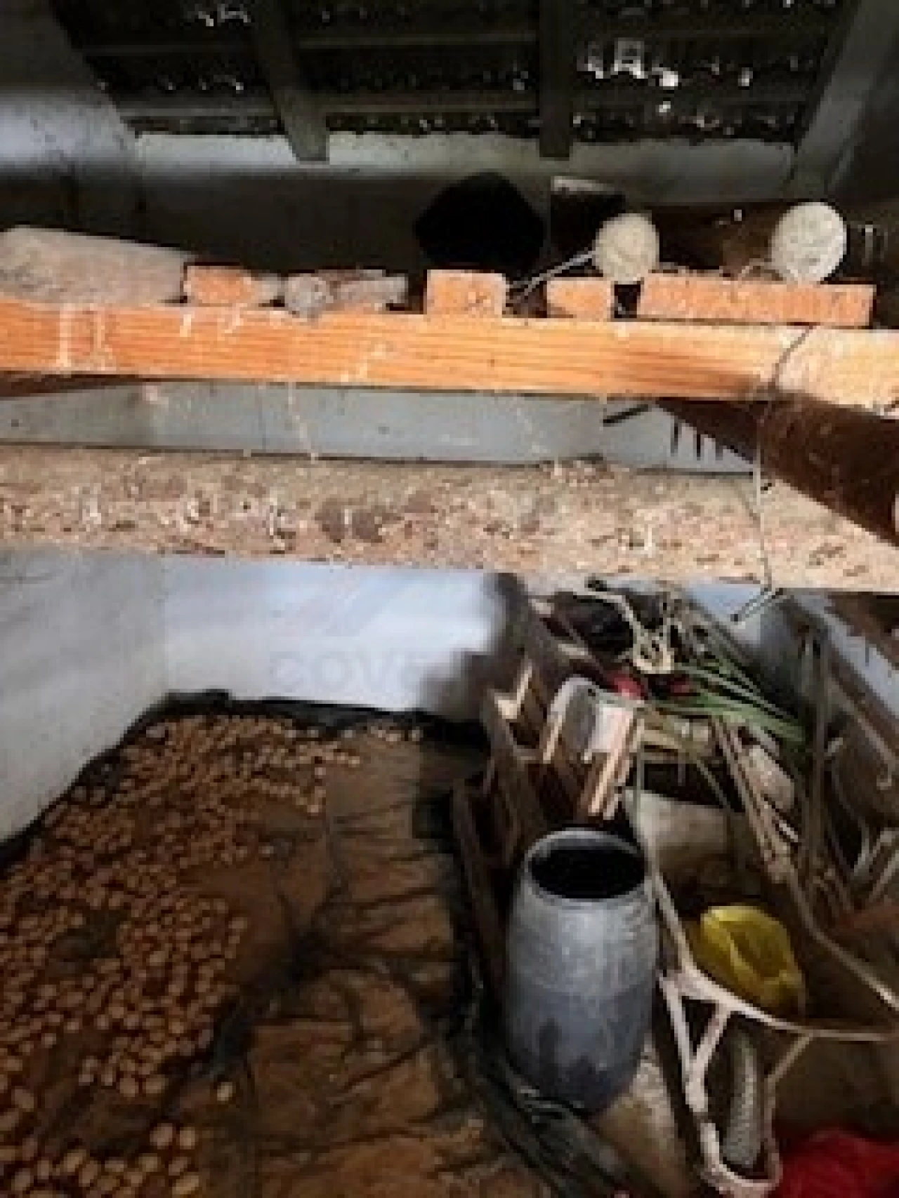 Terreno Agricola ou Rústico para Venda em Ferro Foto 8