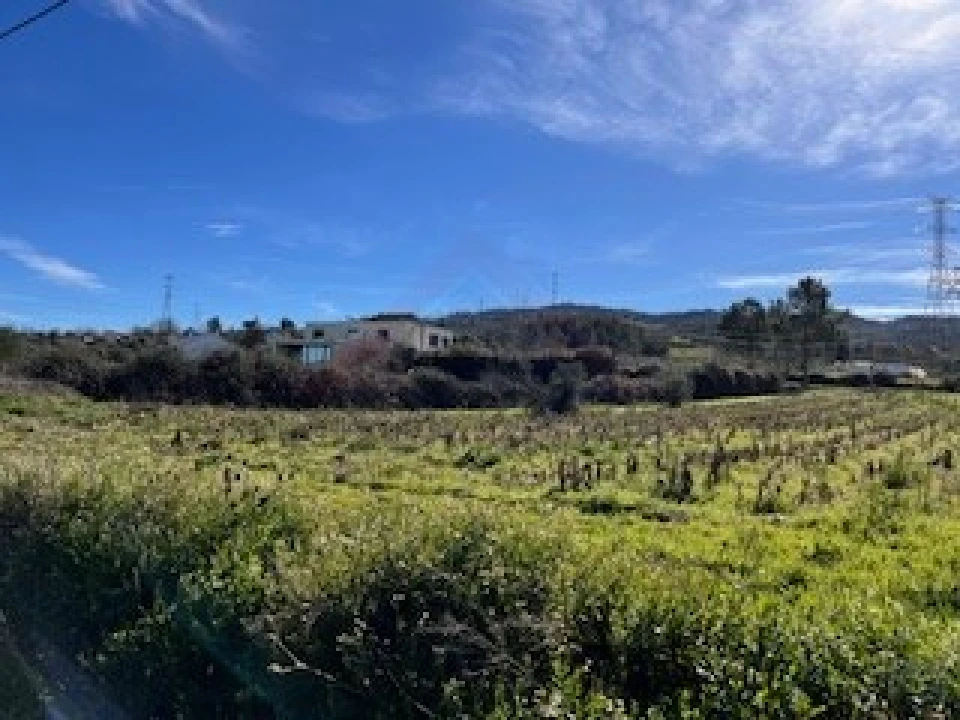 Terreno Agricola ou Rústico para Venda em Ferro Foto 12