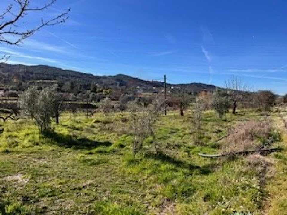 Terreno Agricola ou Rústico para Venda em Ferro Foto 14